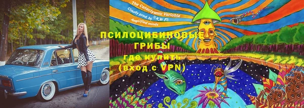 крисы Белокуриха